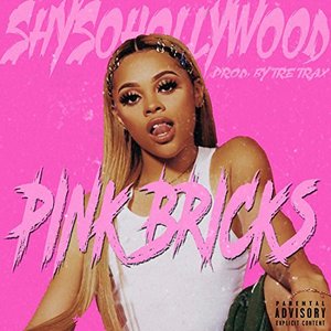 Pink Bricks
