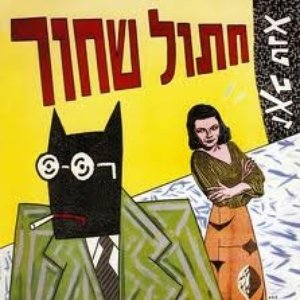 חתול שחור
