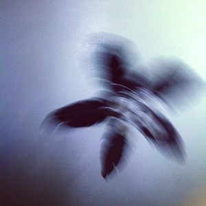 Waves EP