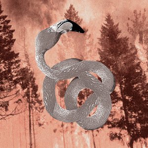 The Fall of the Flamingo Gardens