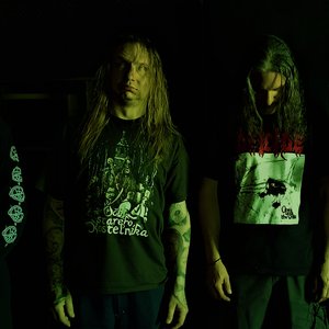 Hadí Mord 的头像