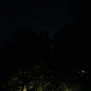 Shelter - Single