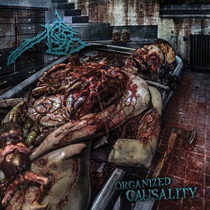 Organized Causality
