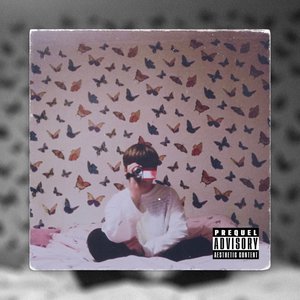 Really Wanna (feat. Kkbutterfly27xx & Netty Mac) [Remix] - Single