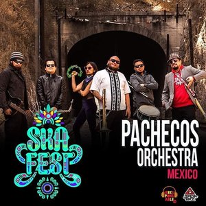 Pachecos Orchestra 的头像
