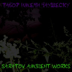 Saratov Ambient Works