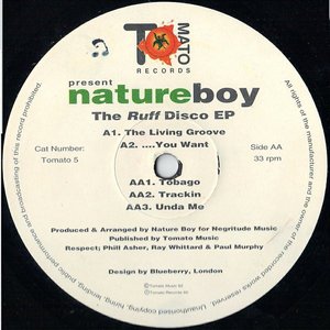 The Ruff Disco EP