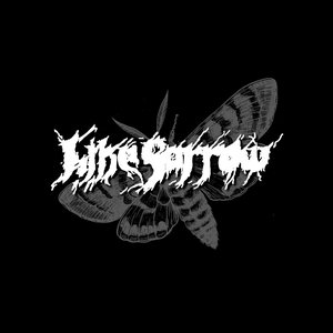 Avatar for Like Sorrow