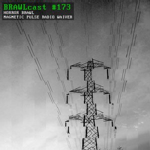 Magnetic Pulse Radio Waiver
