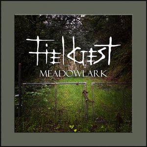 Meadowlark