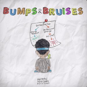Bumps & Bruises [Explicit]