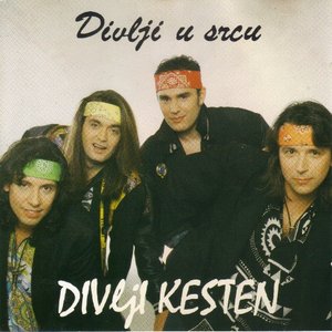 Divlji u srcu