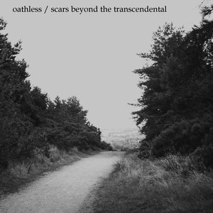 Scars Beyond the Transcendental