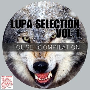 Lupa Selection, Vol. 1