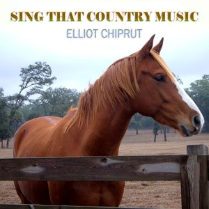 SING THAT COUNTRY MUSIC