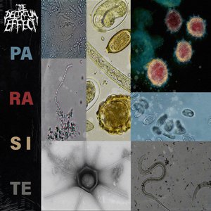 PARASITE - Single