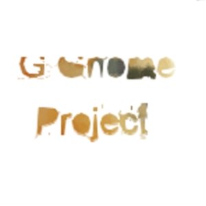 Avatar for G Gnome Project