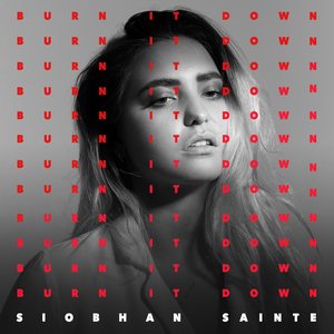 Burn It Down [Explicit]