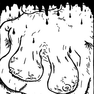 Flabby Folds of Flesh