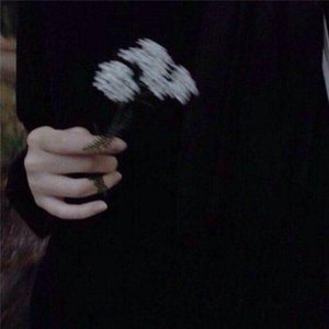 3amlol 的头像