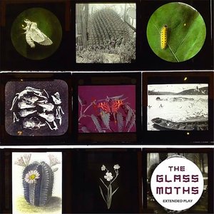 The Glass Moths EP