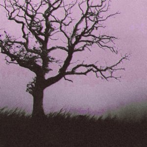 More Wounds - EP