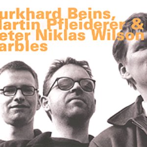 Avatar for Burkhard Beins, Martin Pfleiderer & Peter Niklas Wilson