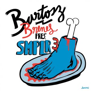 Bartosz Brenes : SMPLR3