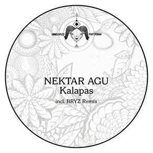 Kalaps