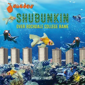 Shubunkin over Rochdale College Bank