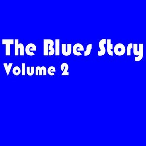 The Blues Story - Volume 2