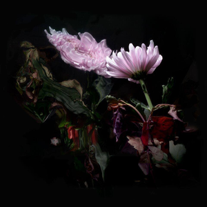 Artwork for Loveless (Edit)
