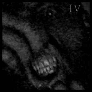 Into Violence