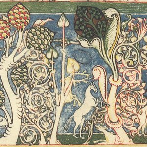 Immagine per 'Codex buranus'