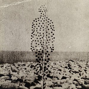 Beme Seed