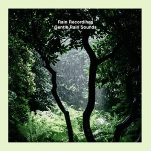 Gentle Rain Sounds