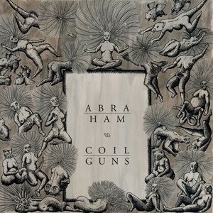 Coilguns/abraham