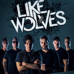 LikeWolves 的头像
