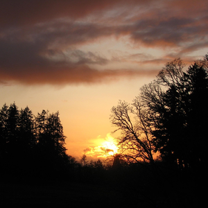 9pm On A Sunday Khai Dreams Lyrics Song Meanings Videos Full Albums Bios