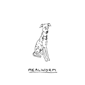 Meal Plans - Single