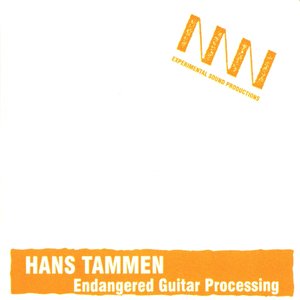Endangered Guitar Processing