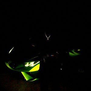 Delusional - Single