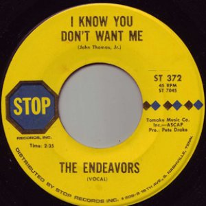 The Endeavors 的头像
