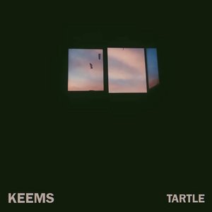 Tartle