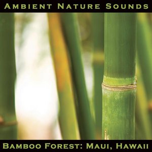 Image for 'Ambient Nature Sounds'