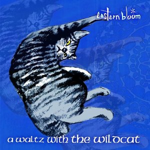 A Waltz with The Wildcat