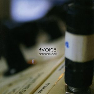 Image for '4Voice'