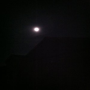 Distortions From Our Many Moons