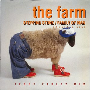 Stepping Stone / Family of Man