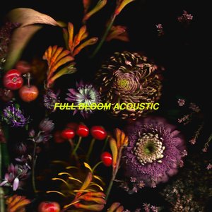 Full Bloom (Acoustic Version) - EP